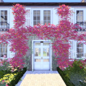 maison des fleurs - exterior9.png