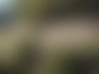 秋の情景と秋葉台小学校野鳥観察