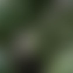 エゾビチャレンジ(その3)