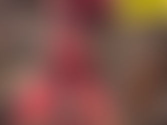 展示室1に新しい仲間