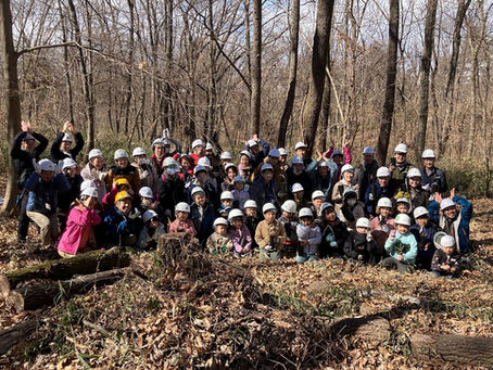 どんぐりで森づくり