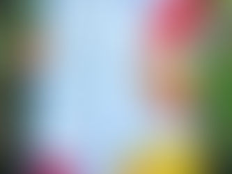 別所小学校1年生と秋の色集め