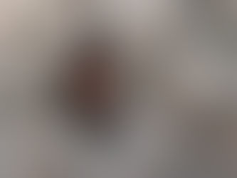 長瀞の自然(番外編その2)