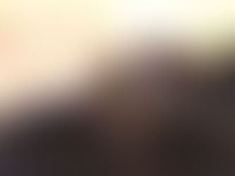 スズメの受難とパーキッズによる姿池清掃