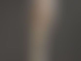 立春の視察研修