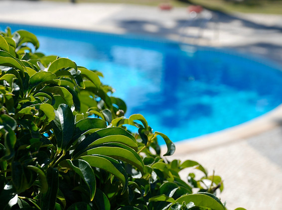 PoolIconPic.jpg