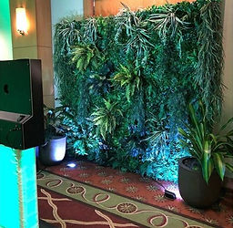 tropical wall rental Palm Beach