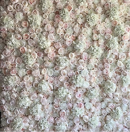 Miami flower walls