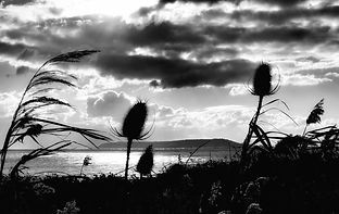 Portland from Ringstead Bay