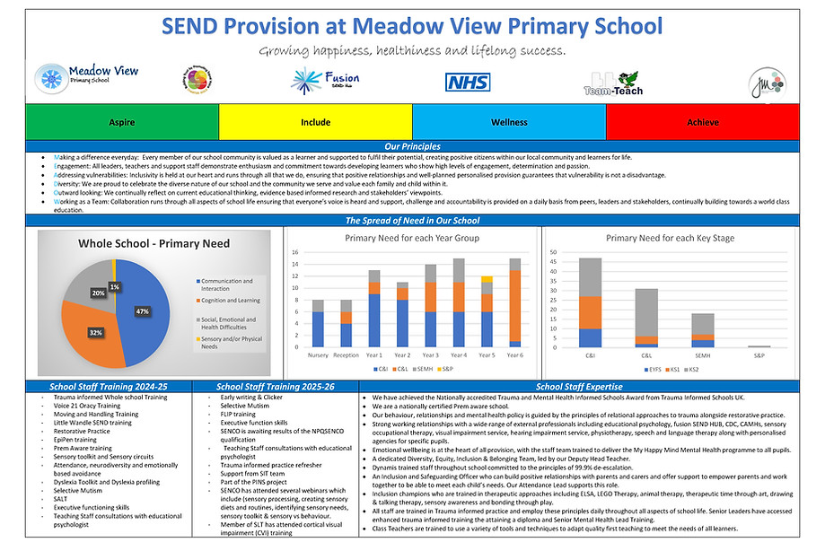 MVP - SEND Overview for Meadow View Primary School Summer 2026_Page_1.jpg