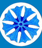 teach early years logo.jpg