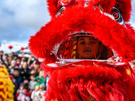 Lunar New Year - Year of the Rabbit