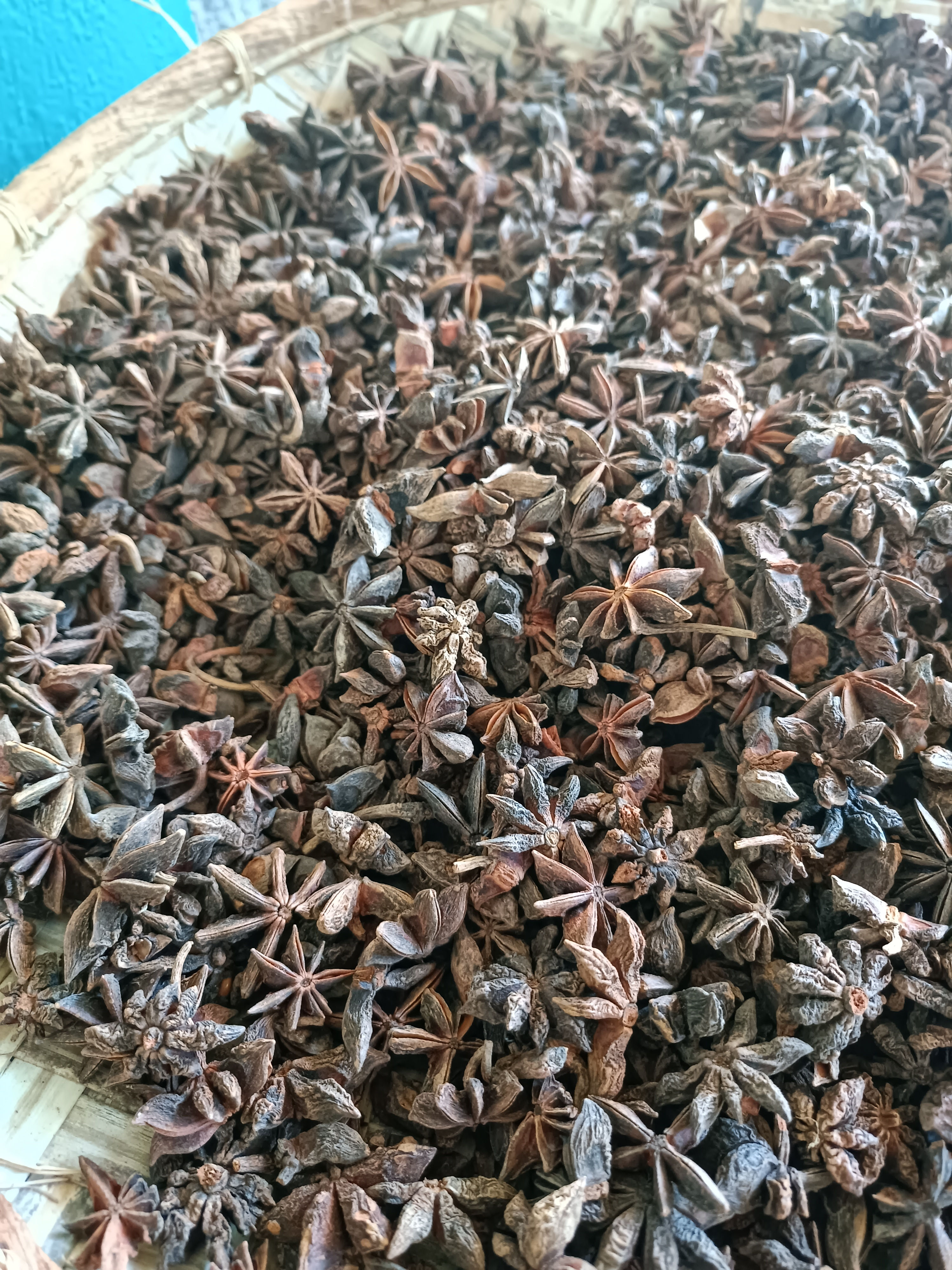 Star anise