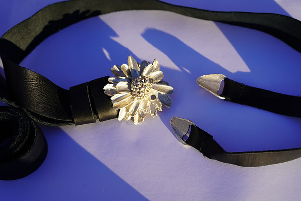 daisybelt_2.jpg