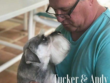 pet adoption tips Pink's Pet Care
