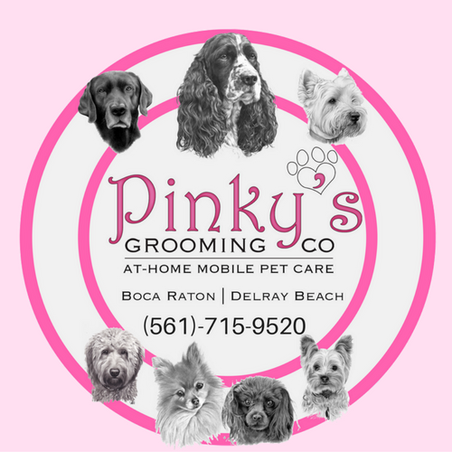 Writer: Pinky's Pet Care 