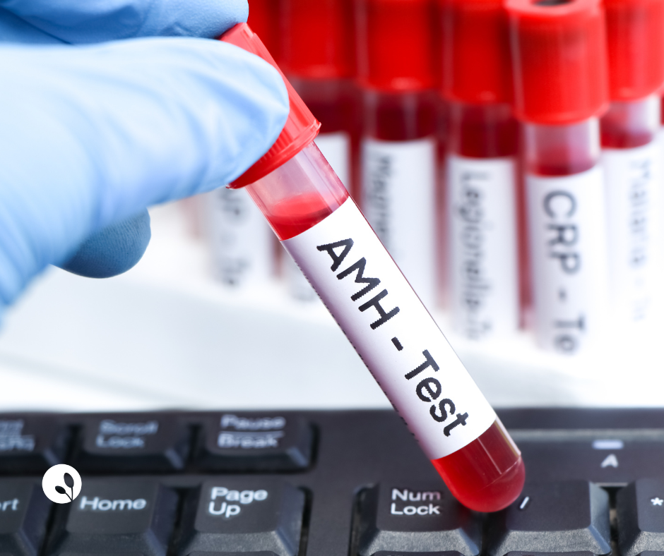 Low AMH: What It Means and How to Take Action