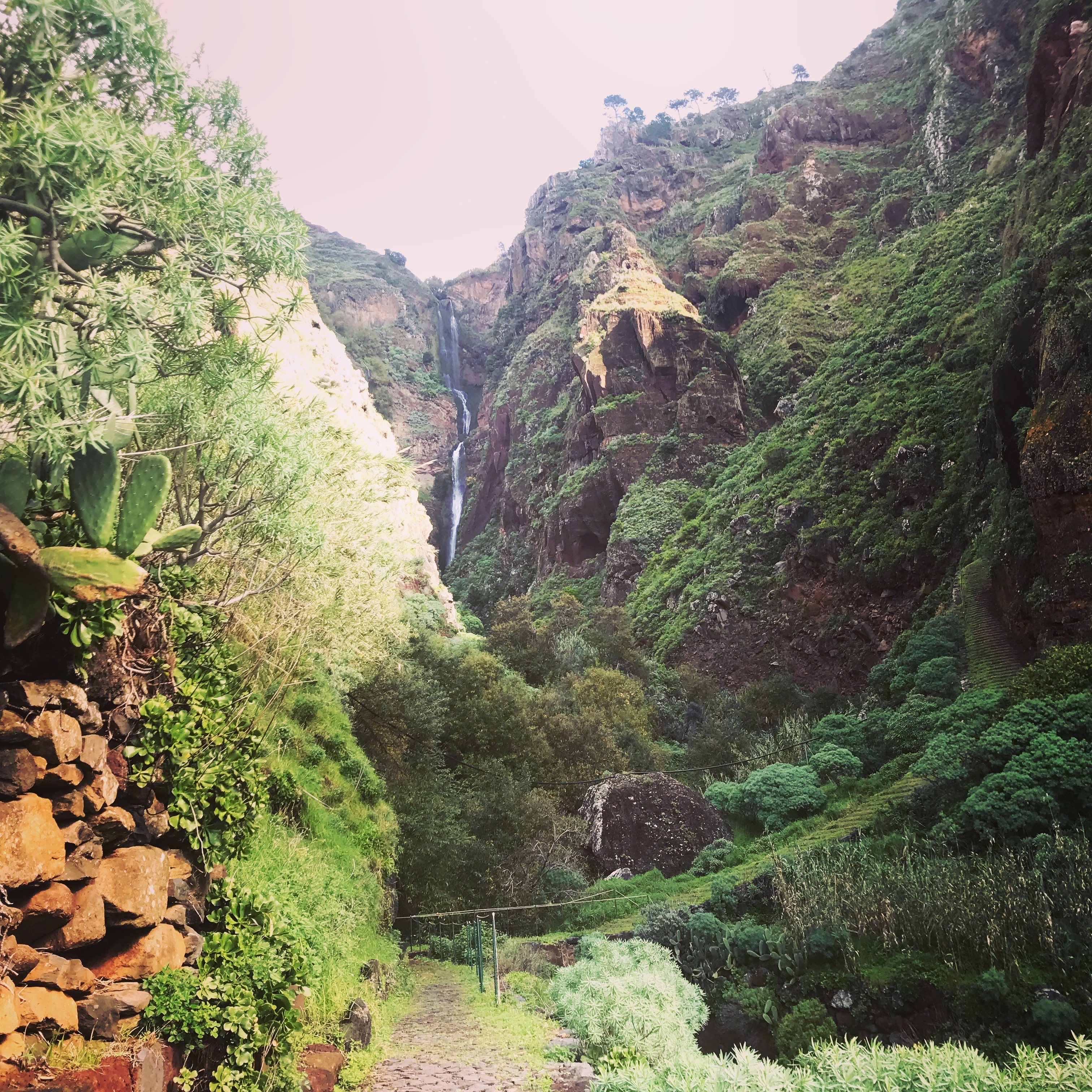 Yoga Und Wanderferien Madeira Ginny Linda Koblet