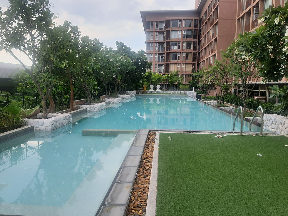 Essential Guide to Relocating to Thailand for Teachers with Bee Trippy Global Travel and Property Group