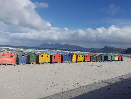 Explore Muizenberg, Cape Town's South Africa, for the Best Surf Spots and Vibrant Surf Community with Bee Trippy Travel