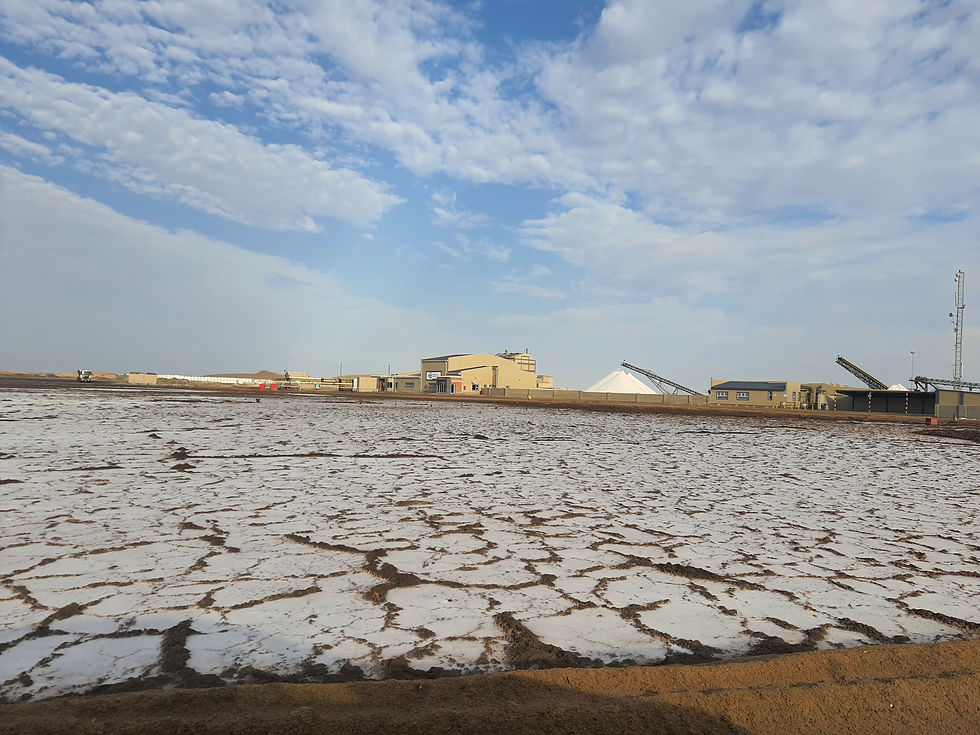Exploring Walvis Bay Namibia: Attractions Accommodations Airport Tips and Local Facts