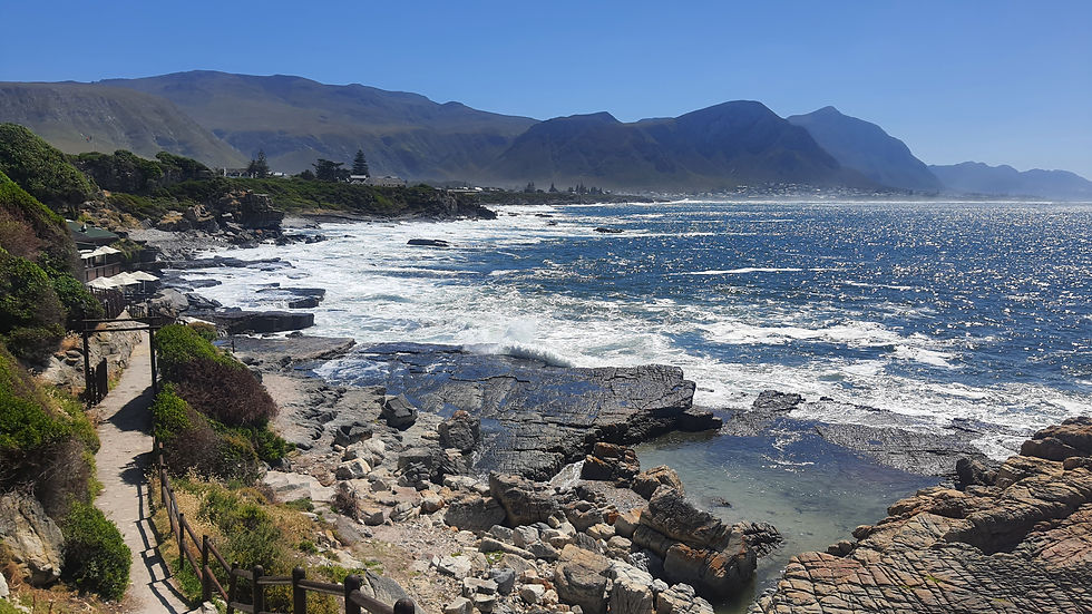 Exploring Hermanus South Africa: Top Activities, Nearby Attractions, and Travel Services by Bee Trippy