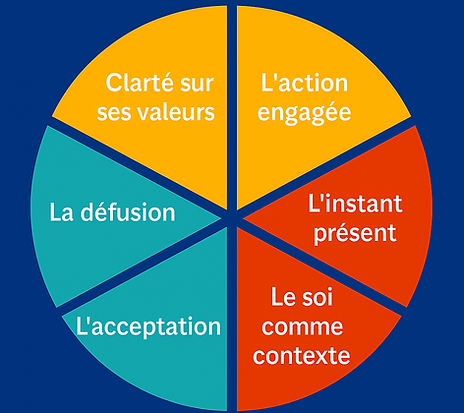 Les principes de la Thérapie ACT.png