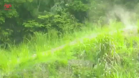 Thumbnail: DD VX2400 (dual motor)