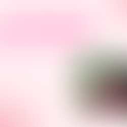 “TAKE THE LAND” | Joshua 1 Bible Study | #FaithFriday 💕