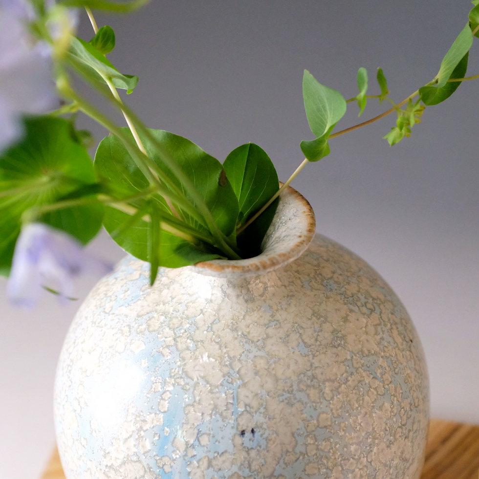 縮圖：「冬芽」