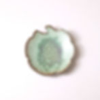 Thumbnail: Ginkgo plate