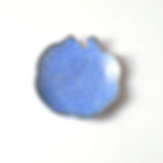 Thumbnail: Ginkgo plate