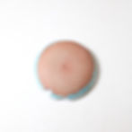 Thumbnail: Ginkgo plate