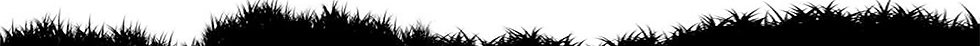 grass allons bottom v1 web.png