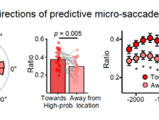 Paper accepted in Nature Communications