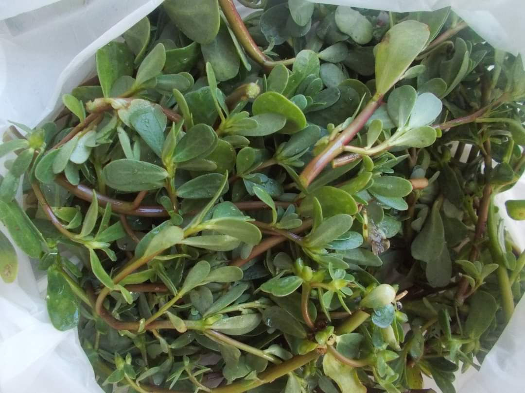 Tolščak 250 g
