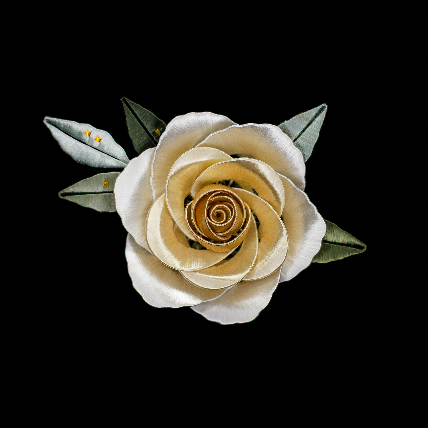 Giardino di Rose - Champagne (Petite)