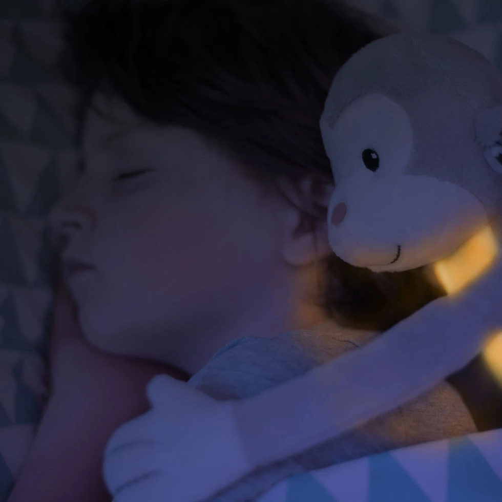 Thumbnail: Nightlight Soft Toy & Melodies