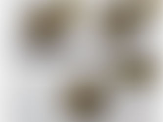2019.03/04