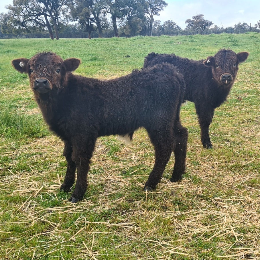 302283598_568748404999742_1164865742217056486_n