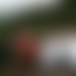 What Men Google at 2 a.m. | Men’s Health Eugene