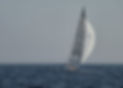 531652_10151969170955430_739677592_n_edited.jpg