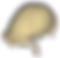 ScreenshotBrainSkullModels_whiteback.png