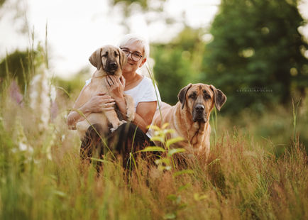 Hundefotografie Main Kinzig Kreis Frau mit Hunden in Wiese