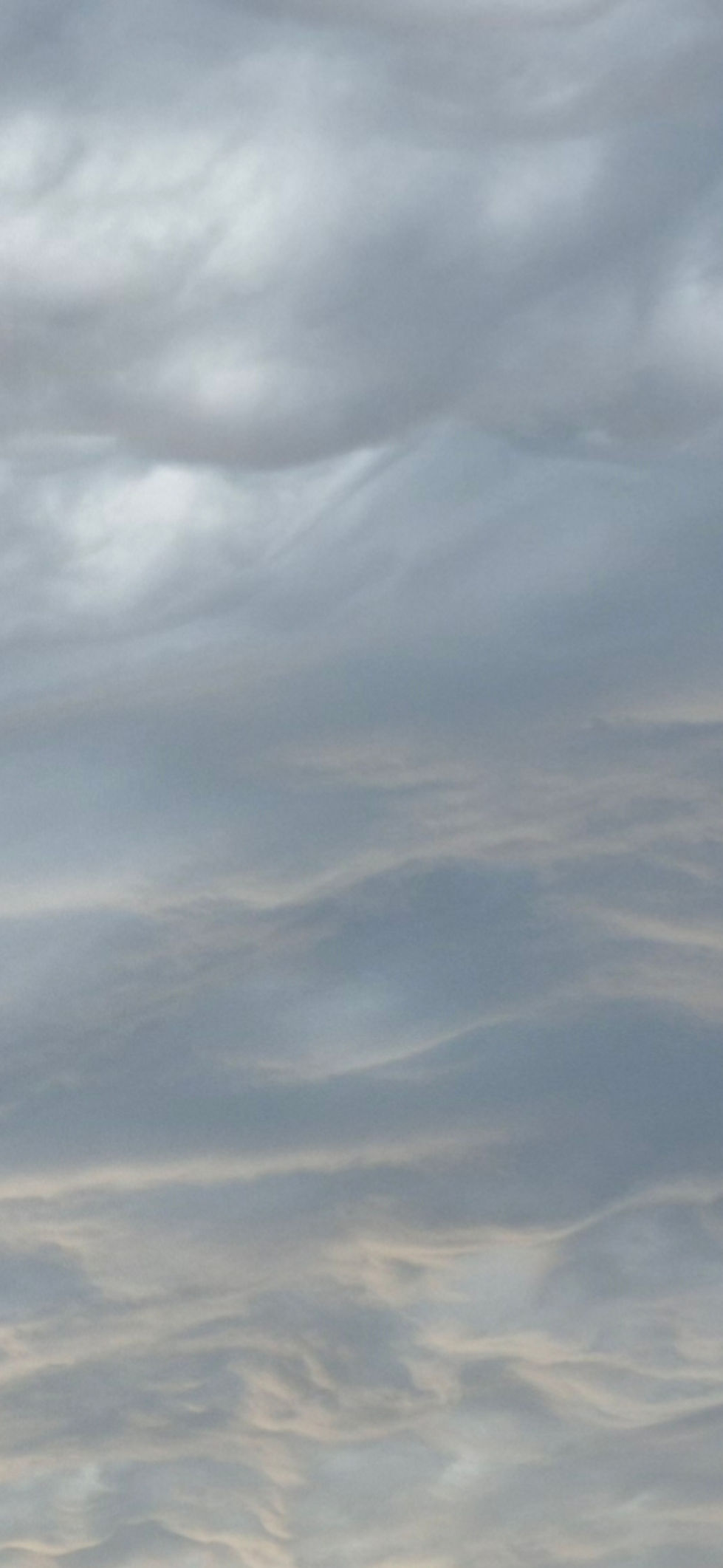 Screenshot_20251227_085550_Photos