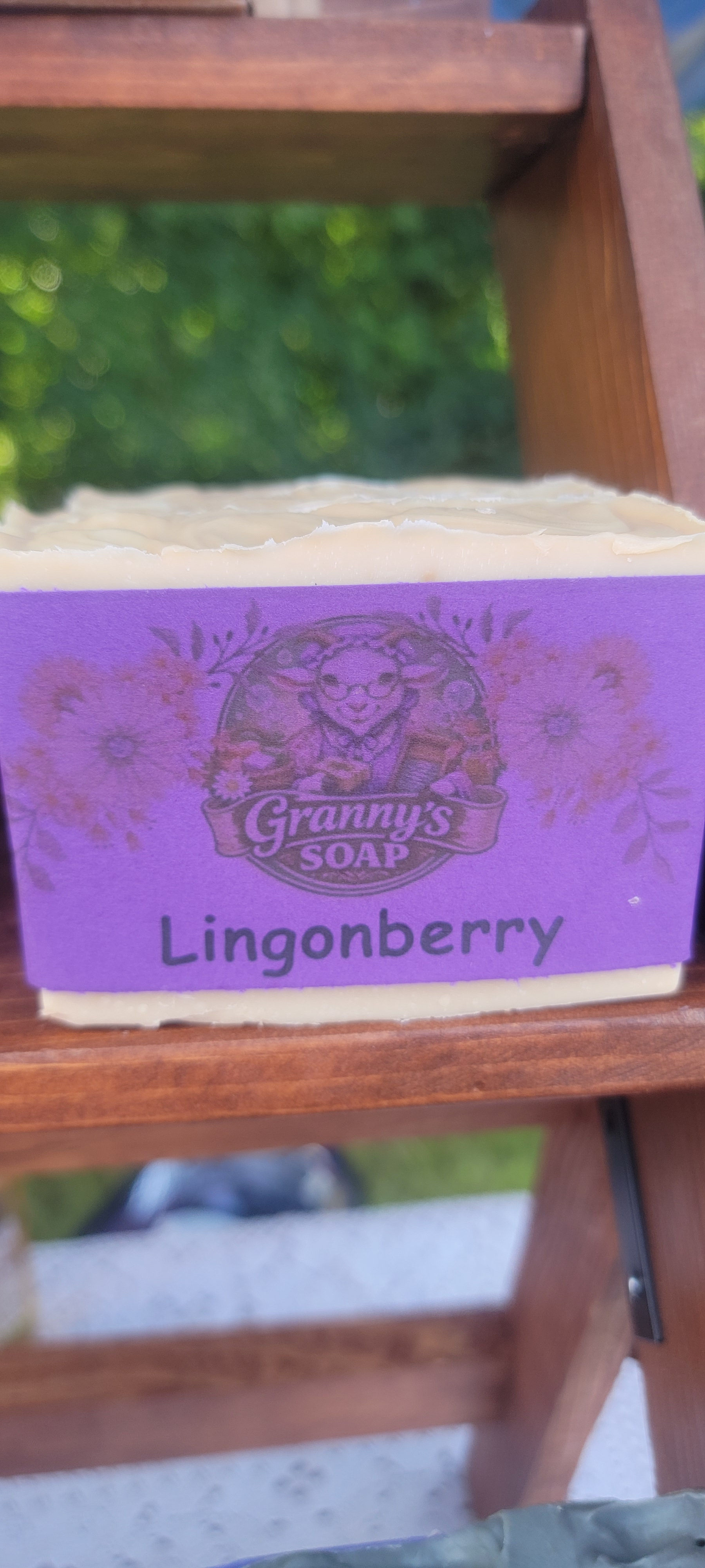 Lingonberry