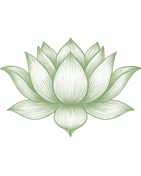 IMG_3230 (1).PNG