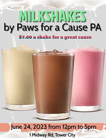 Milkshakes 1 2023.JPEG