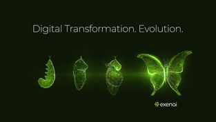 Is 2025 the Year for Digital Transformation?