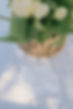 DSC02690-Modifier-Modifier.jpg